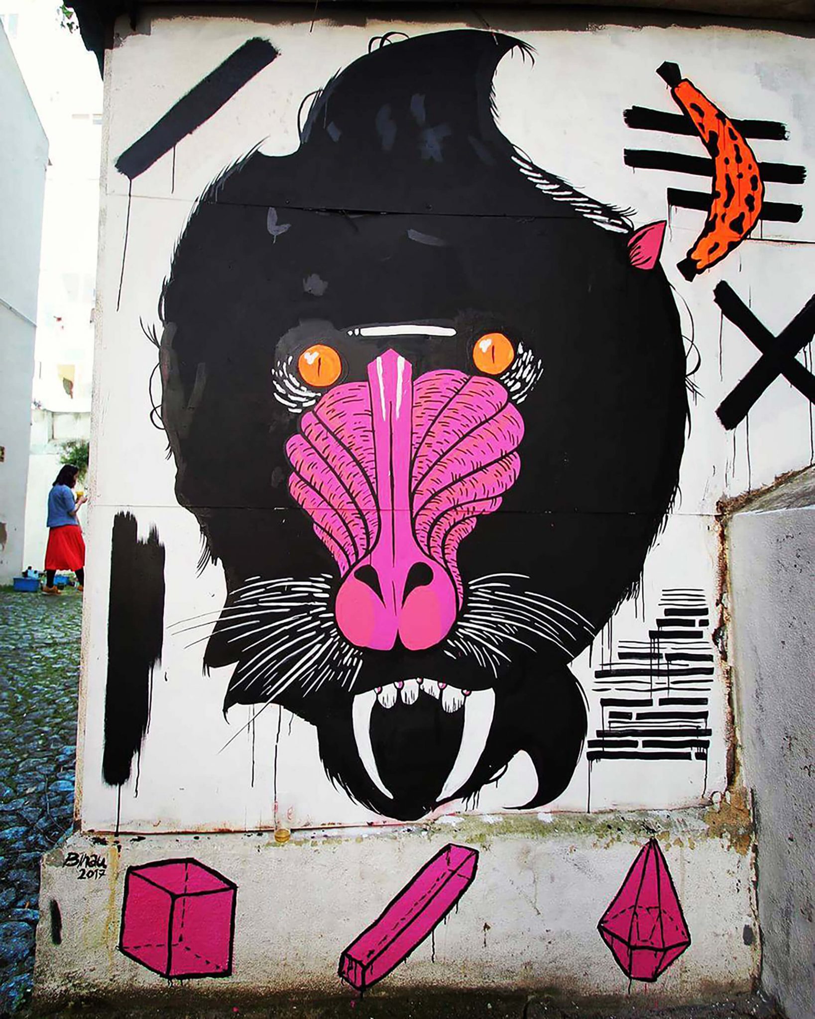 BINAU Street Art Mural "Baboon"