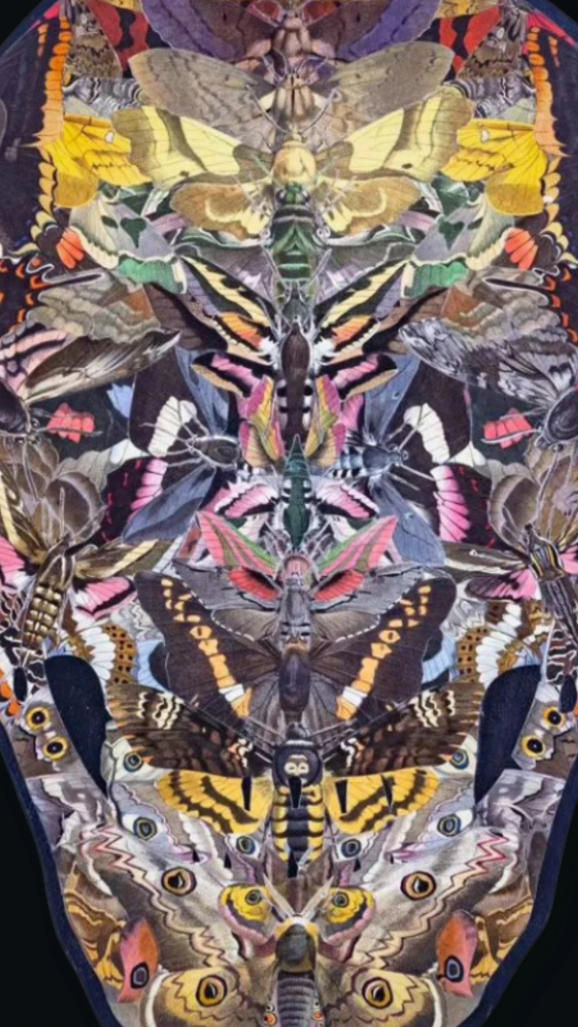 Link to artist profile of Burry Buermans at Because Art Matters.